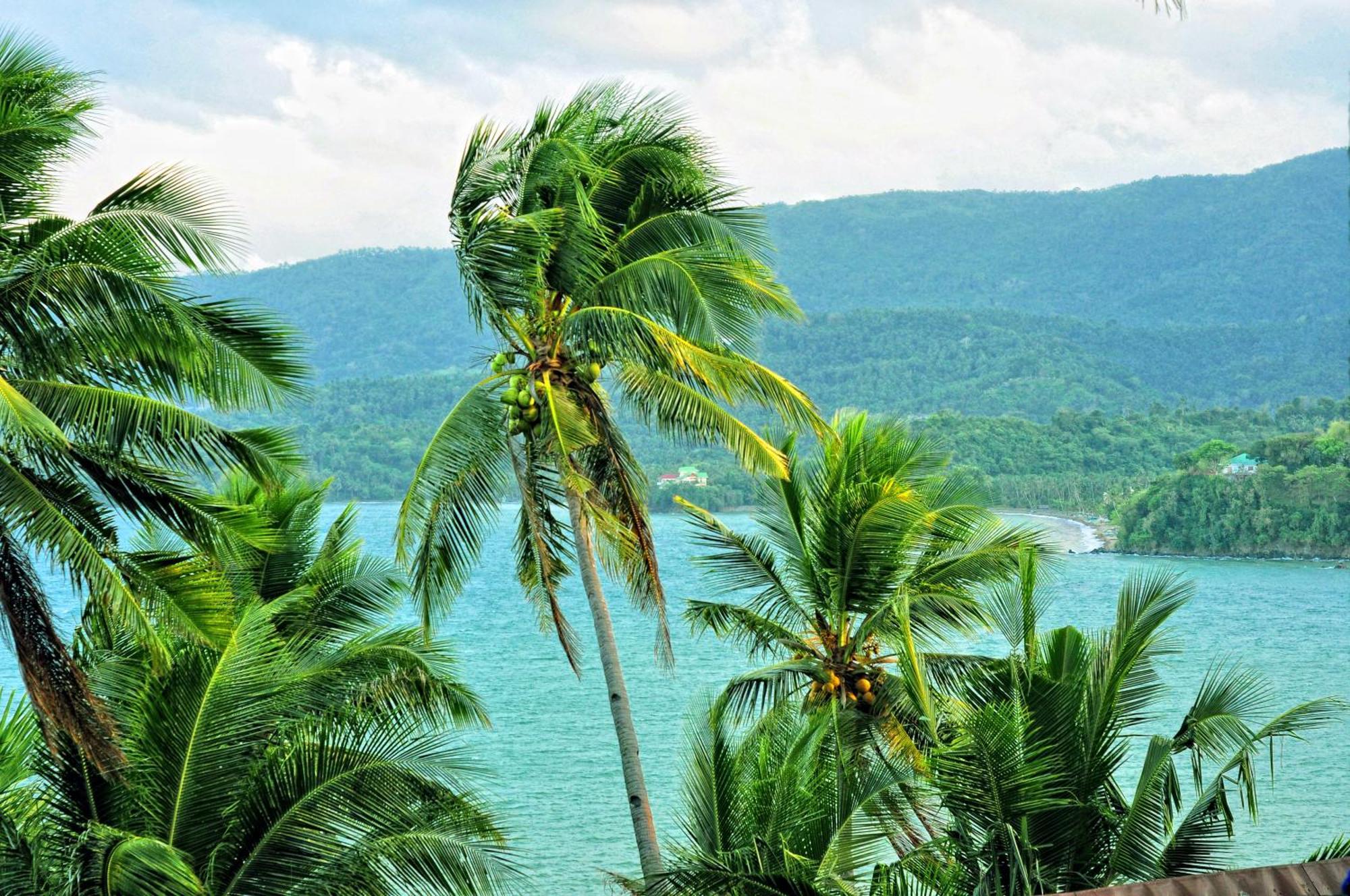 Villa De Pico Highland Beach Resort Puerto Galera Εξωτερικό φωτογραφία